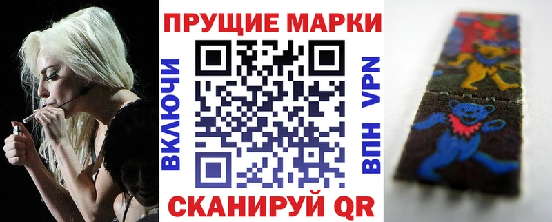 Купить закладки  Верхняя Пышма  Марки NBOMe 1,8мг 