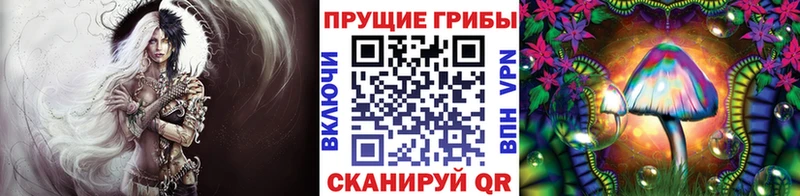 Купить  Верхняя Пышма  Псилоцибиновые грибы Magic Shrooms 